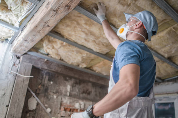 Best Wall Insulation Installation  in Altoona, PA